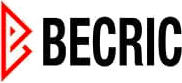 npbecric.com Logo